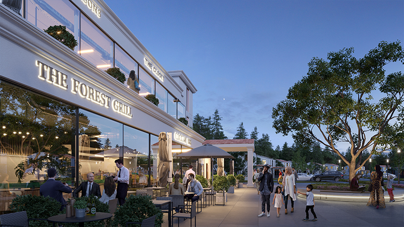 波斯尼亚西德拉项目