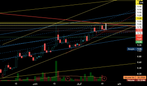 سعر سهم دار الأركان اليوم