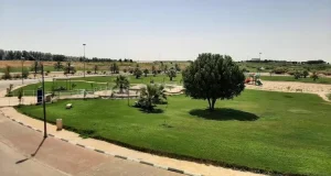 أهم الخدمات المميزة في الحي